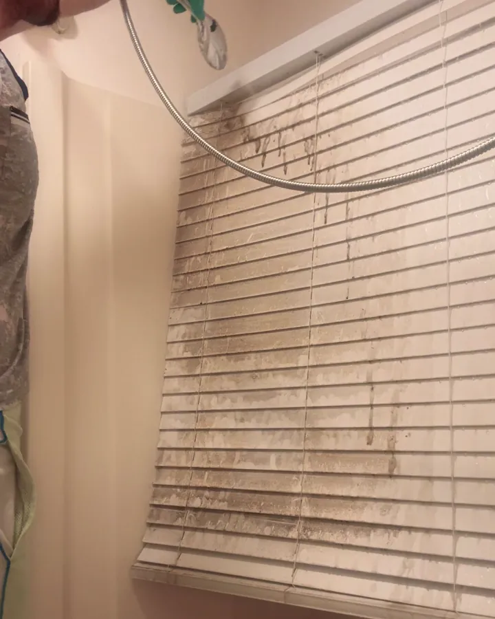 Mildewed bathroom blinds, restored, before